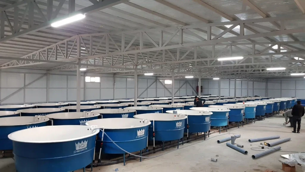 مراحل نصب استخر پرورش ماهی