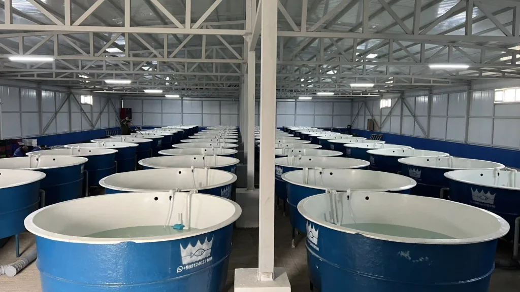 استخر پیش ساخته تیلاپیا