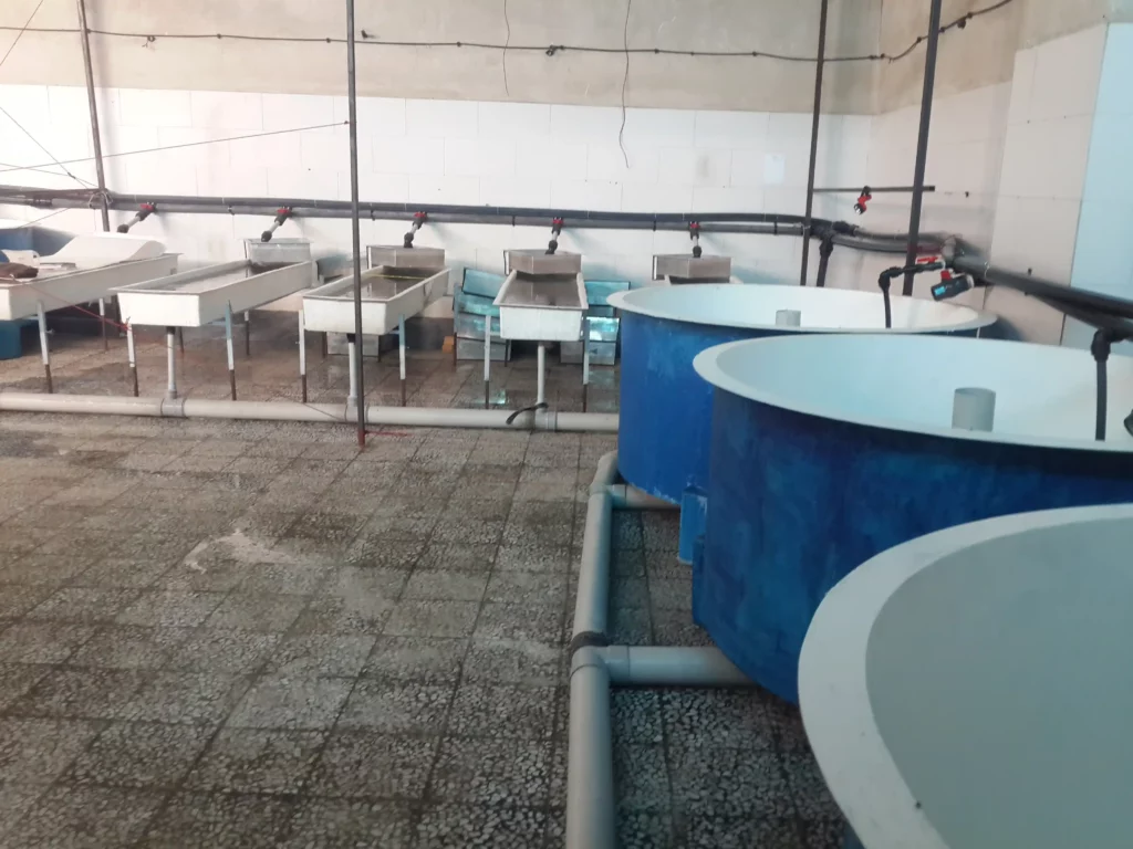 استخر پیش ساخته تیلاپیا 1 ماهی